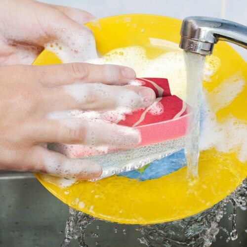 キッチンスポンジ Fred スシスポンジ