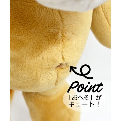 ぬいぐるみ NICI ワイルドフレンズ ライオン