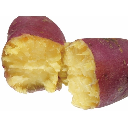 とうもろこしメーカー 電子レンジ調理器