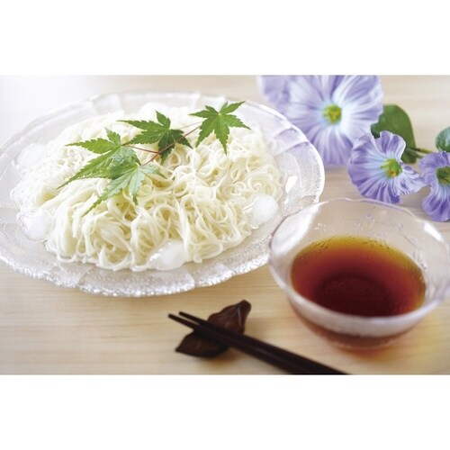 そうめんメーカー 電子レンジ調理器