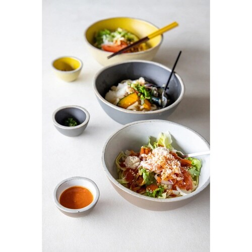 ボウル18cmLPalmパームブラック×2