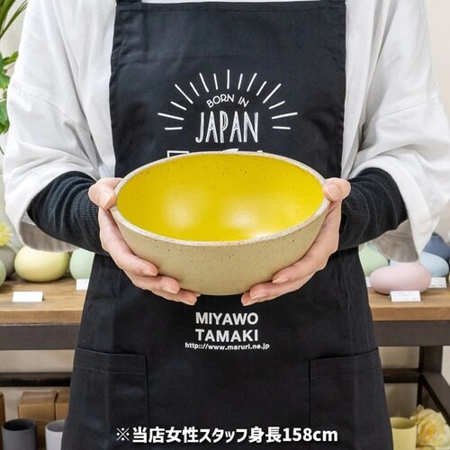 ボウル18cmLPalmパームイエロー×2