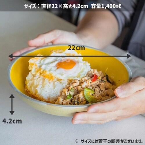 プレート 22cm Palm パーム イエロー×2