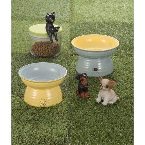 MIYAWAN イエロー×ブルー×2