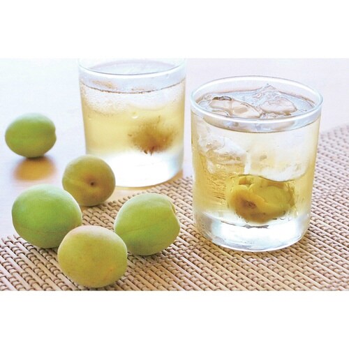 果実酒びん 1.2L プラスチック