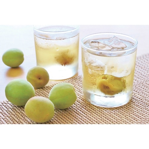 果実酒びん 2L プラスチック