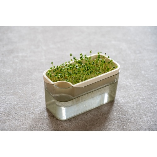 栽培キット ベジマジ そだてる アイボリー×2