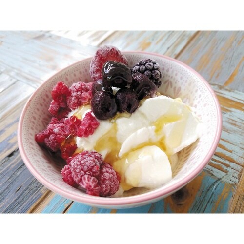 水切りヨーグルトメーカー アラモード 日本製