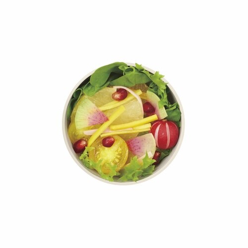 保温弁当箱 サーモス グレージュ