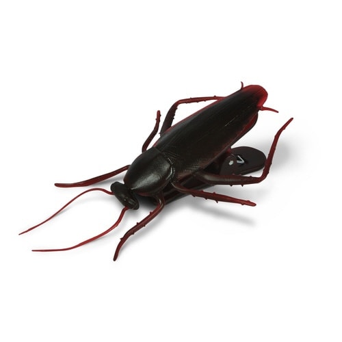 キッチンクリップ Fred ゴキブリクリップ