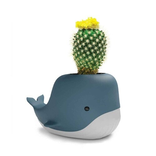 ペン立て Mustard マスタード ホエール×2