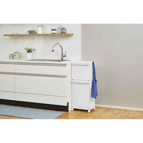 ゴミ箱 40L ホワイトラッシュ 多段 分別