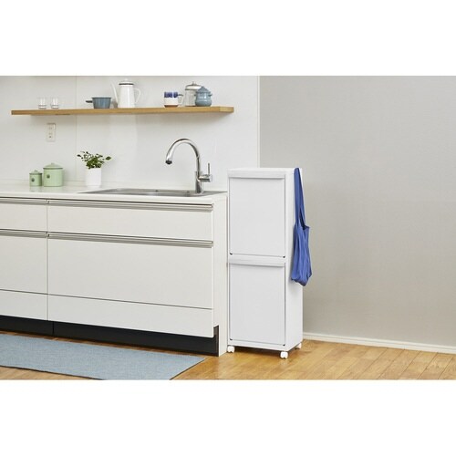 ゴミ箱 50L ホワイトラッシュ 多段 分別