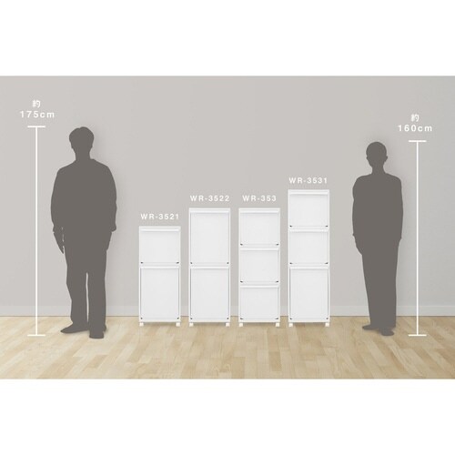 ゴミ箱 50L ホワイトラッシュ 多段 分別