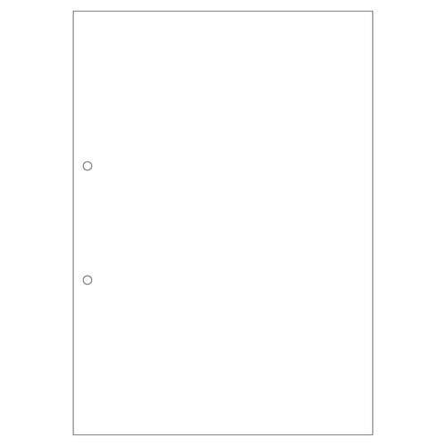 FSC(R)認証プリンタ帳票A4複写白紙2穴