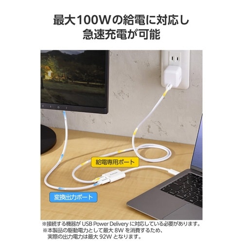 USB−C 変換アダプタ 100W ホワイト