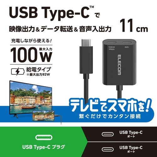 USB−C 変換アダプタ 100W PD ブラック