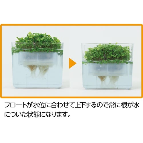 水耕栽培ユニット ベビーリーフミックス