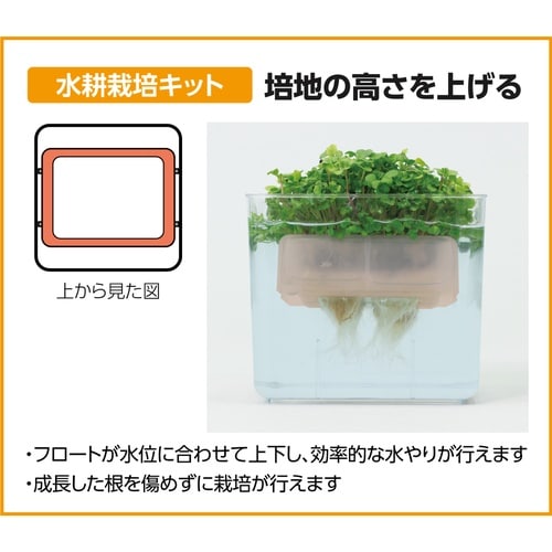 水耕栽培ユニット ベビーリーフミックス