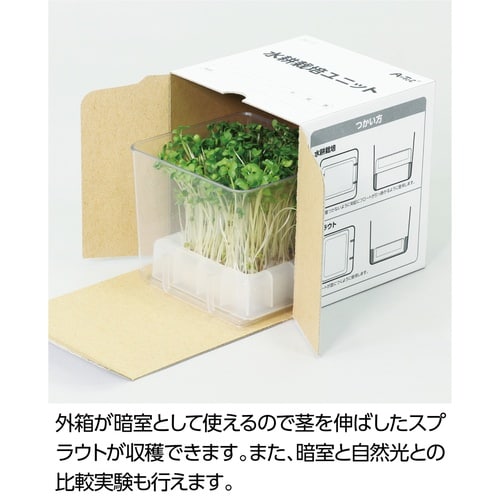 水耕栽培ユニット カイワレダイコン