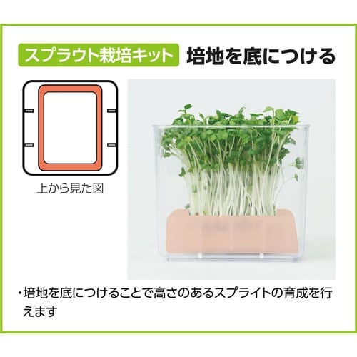 水耕栽培ユニット カイワレダイコン