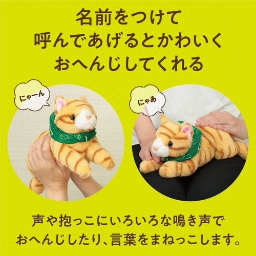 よんで!だっこして!おへんじアニマル2 猫