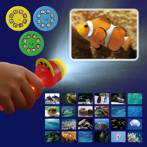 うみのいきものプロジェクター