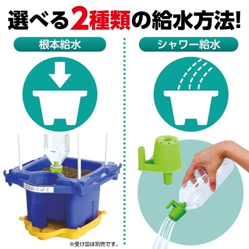 マルチラクラクあさがお虫めがね付Eセット