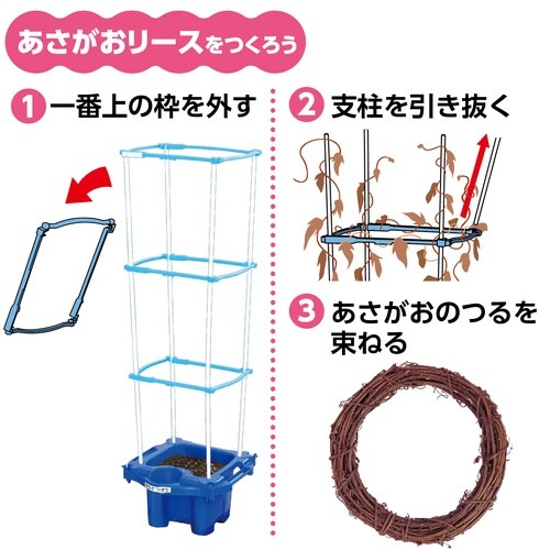 マルチラクラクあさがお虫めがね付Eセット