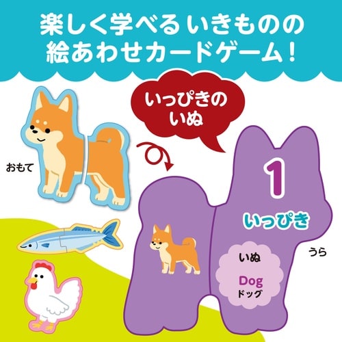 いきものえあわせカードゲーム