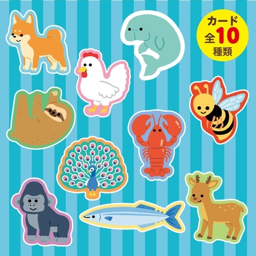 いきものえあわせカードゲーム