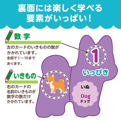 いきものえあわせカードゲーム