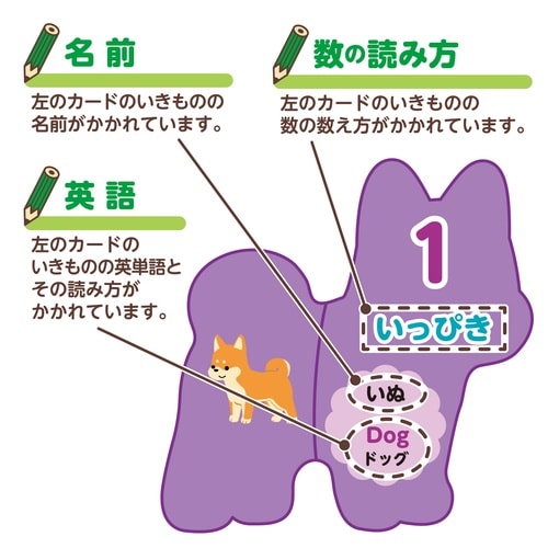 いきものえあわせカードゲーム