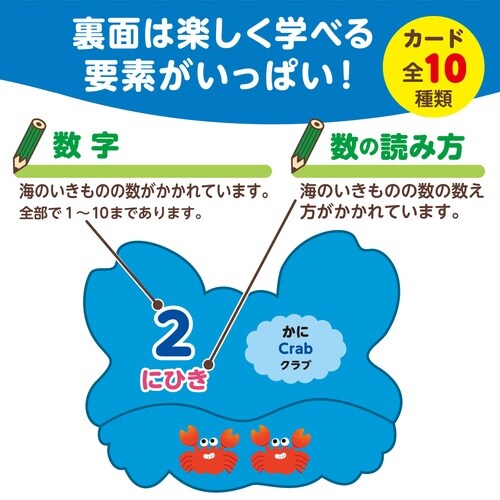 海のいきものえあわせカードゲーム