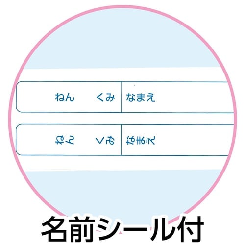 縦横連結掲示ホルダー A4(10枚セット)