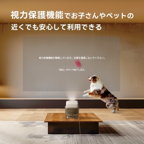 プロジェクター N1S Nano