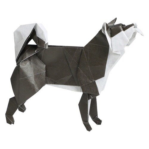 おりがみ 超難解折紙 しばいぬ×2