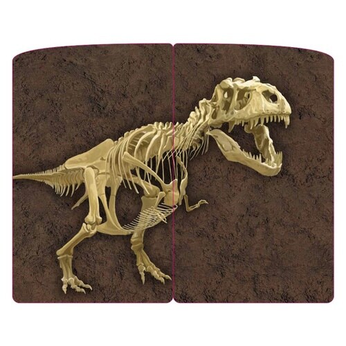 恐竜化石発掘カードゲーム×6