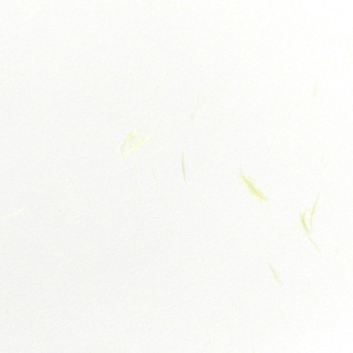 心づく紙 新オボナイ 草の花 A×9