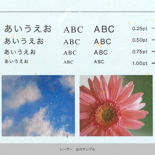 心づく紙 大礼紙 金銀砂子 水 A×9