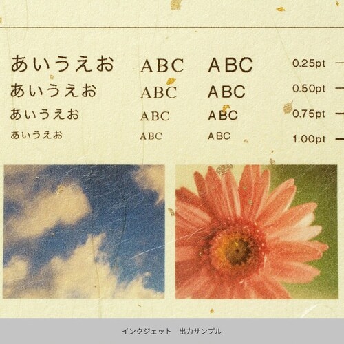 心づく紙金銀砂子雲龍クリ×9