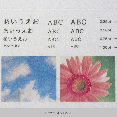 心づく紙 新オボナイ 茶の花 A×9