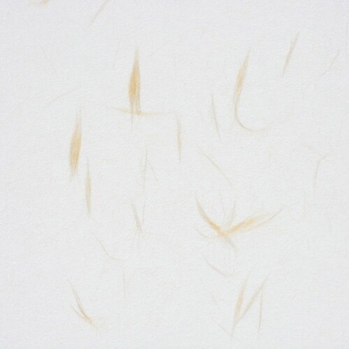 心づく紙 新オボナイ 茶の花 A×9