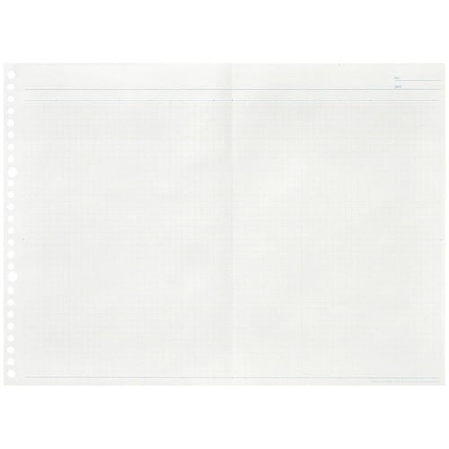 B5ルーズリーフW5方眼×20