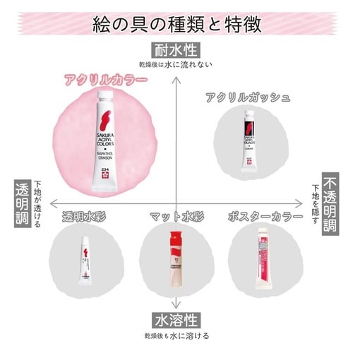 アクリルカラーFクロ×30