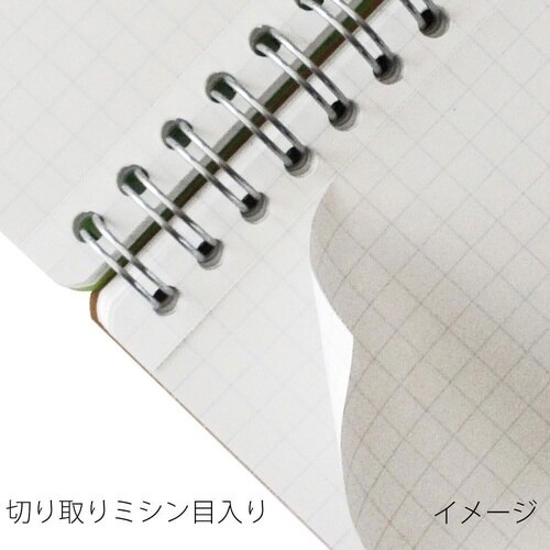 セプトクルール メモ A7 6m×20