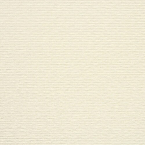 彩現メニューパミス×6