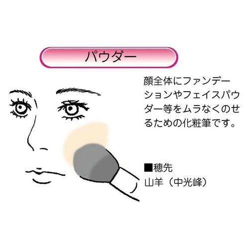 化粧筆 ベーシックタイプ パウダーL 黒