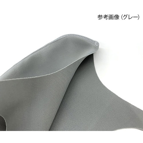 洗える夏用マスク ホワイト ふつう