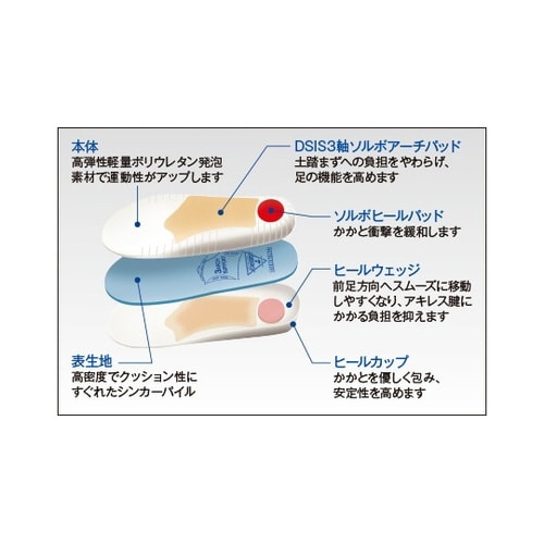 DSISソルボランニング L
